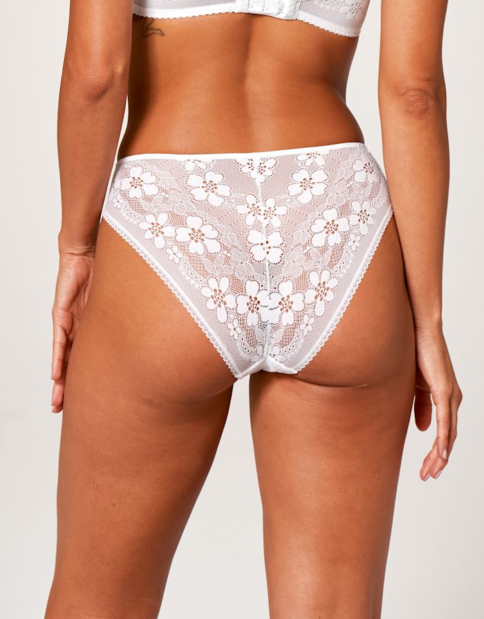 Lacey Brief