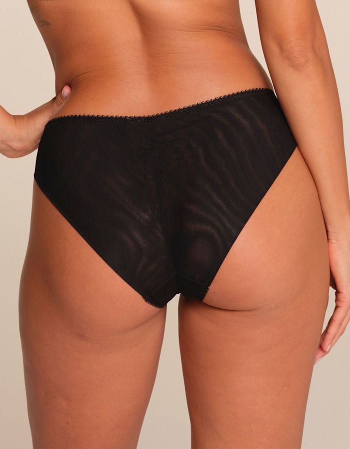 Loveland Brief